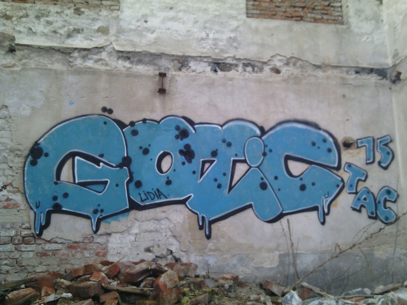 Graffiti Wall - Photo by funkshit - gotic (2015)