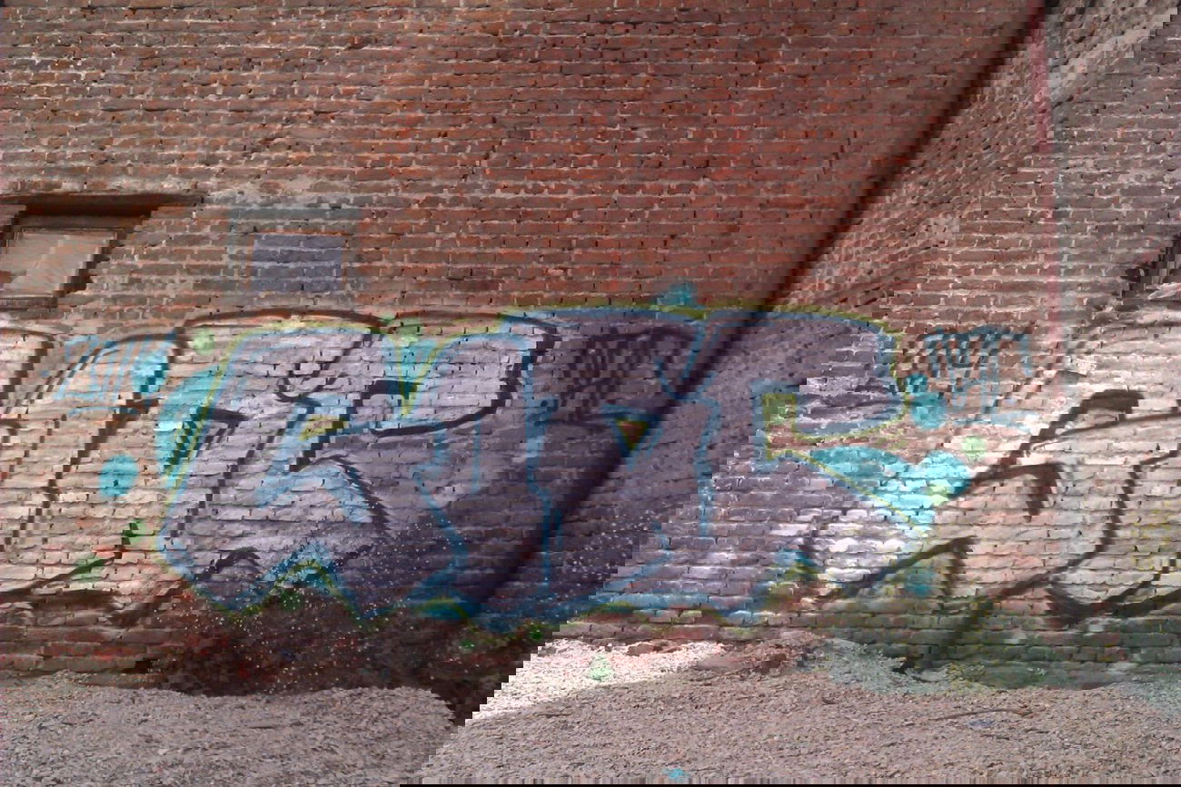 Graffiti Bombing - Photo by funkshit