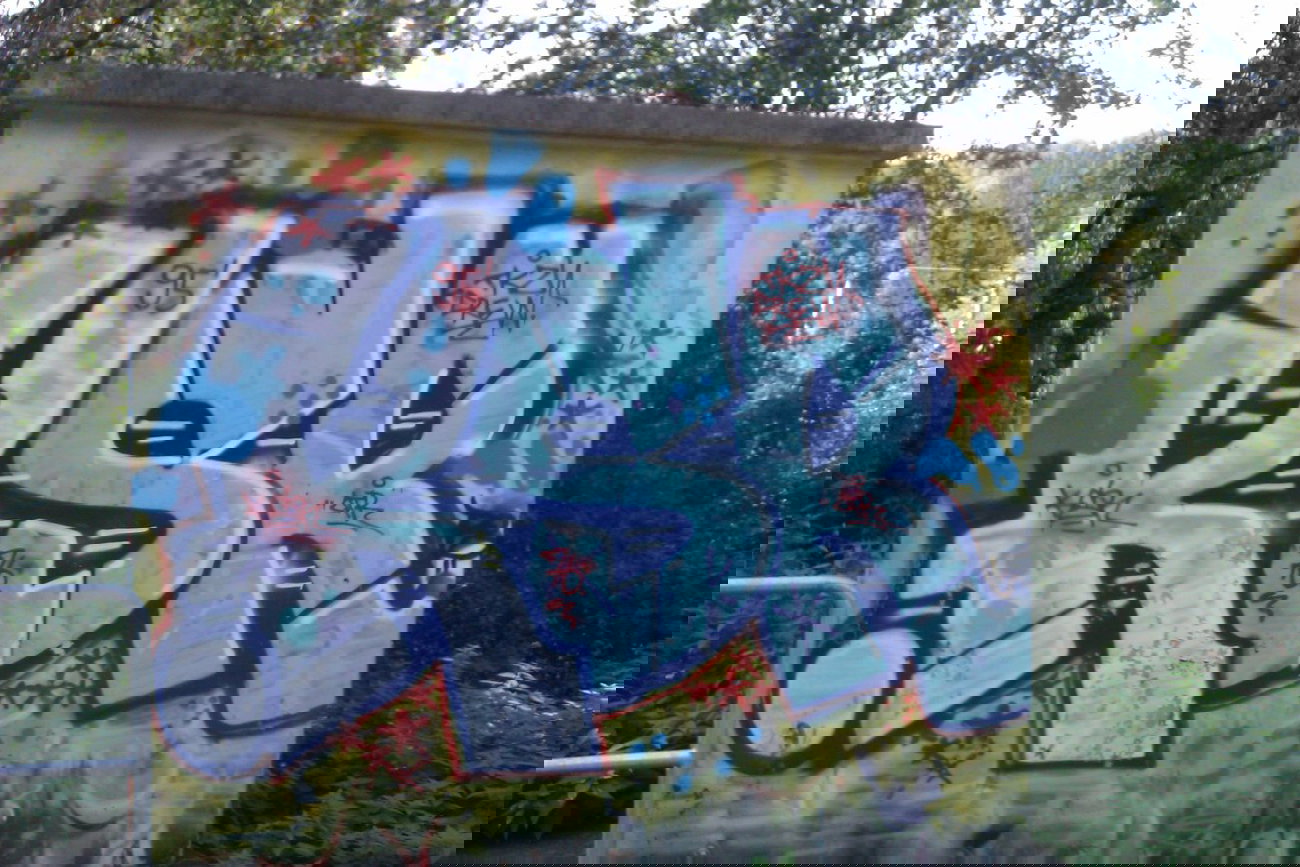 Graffiti Bombing - Photo by funkydude33 - KSR, TKZ, LTR