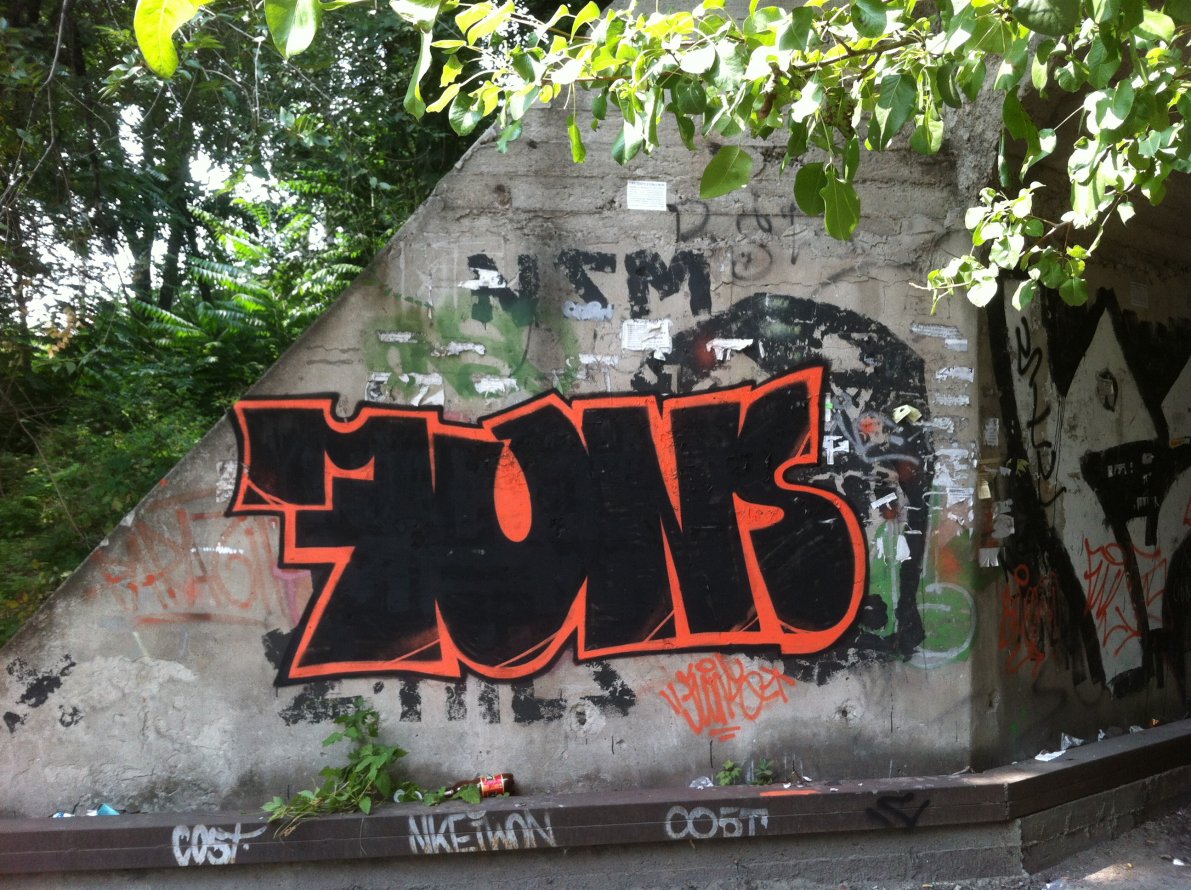 Graffiti Bombing in Zaporizhzhya - Photo by funsone - graffiti, bombing, walls (2013)