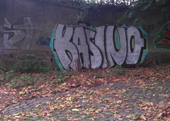 Photo #47017 by Rats_Pkr