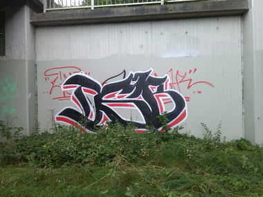 Graffiti Bombing - Photo by futlocker - DSB