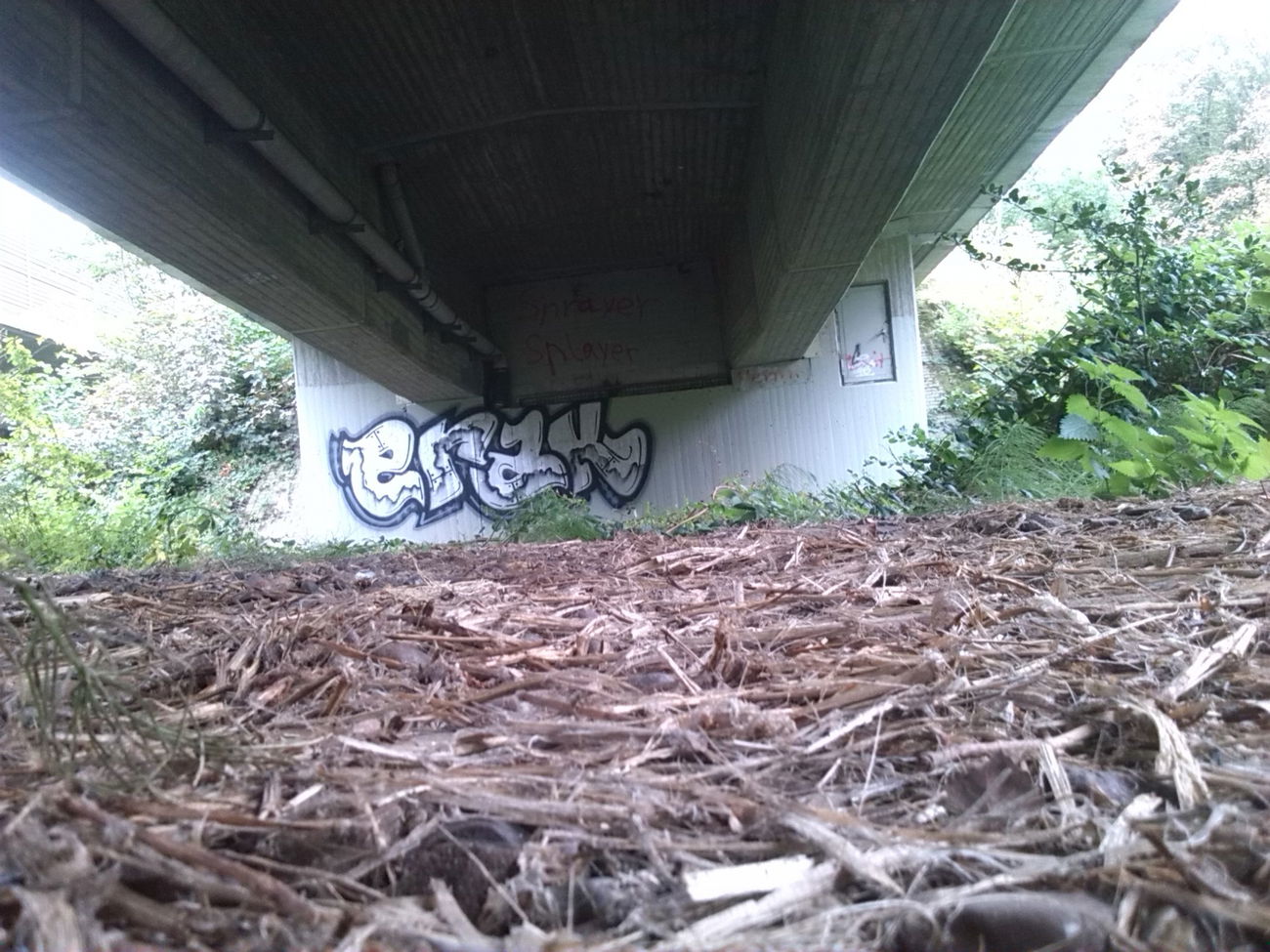 Graffiti Bombing - Photo by futlocker - erak