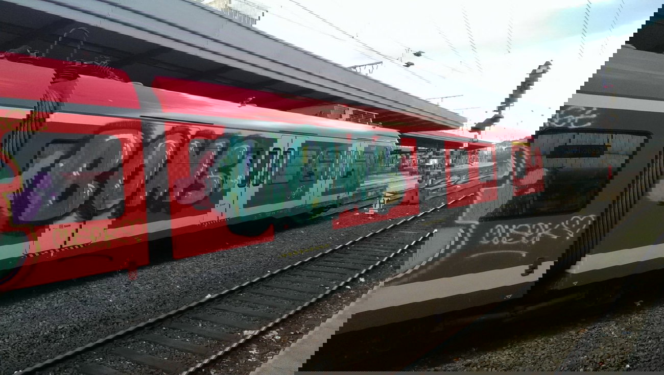 Graffiti Train - Photo by gartenzwerg - boms