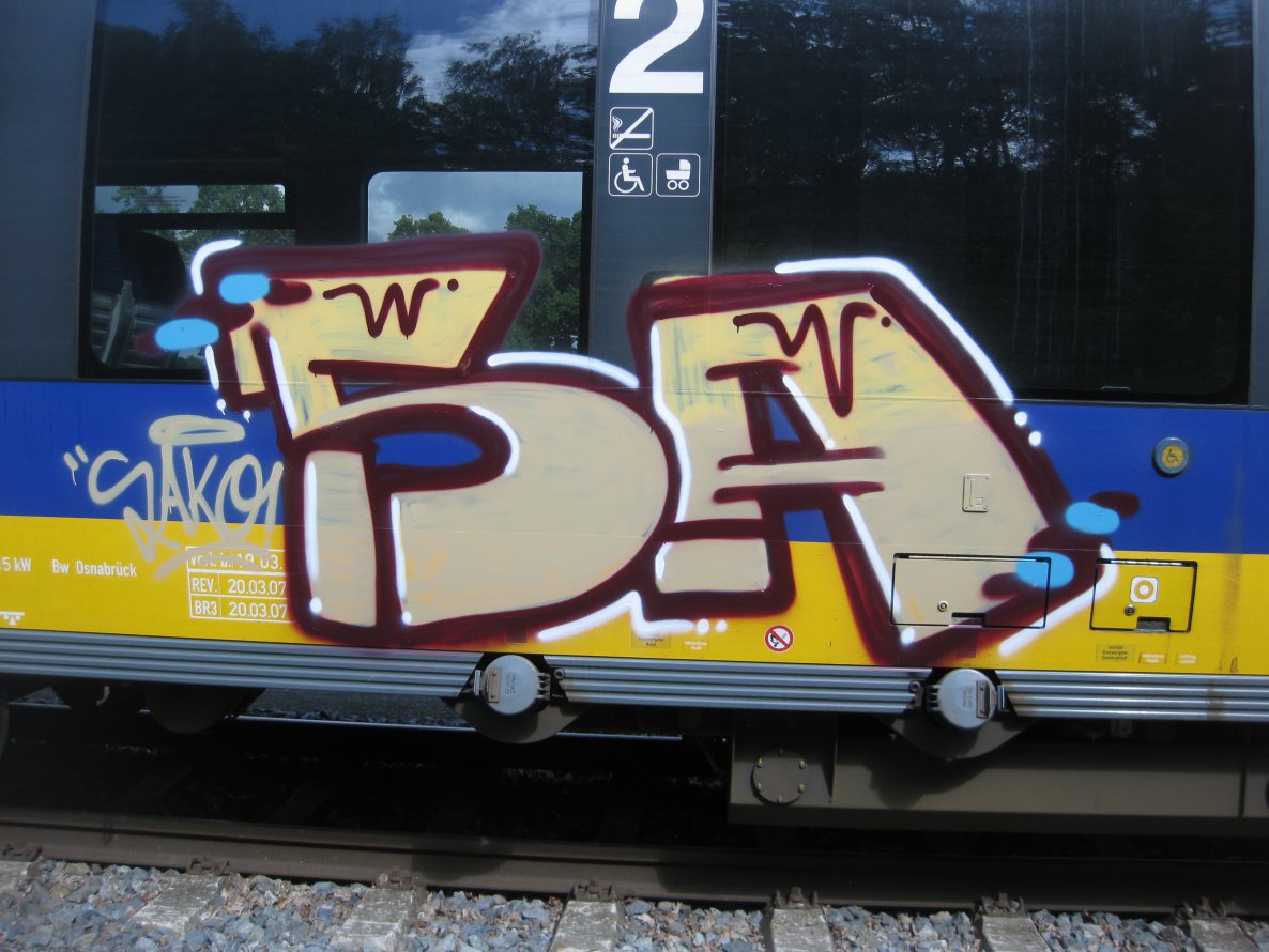 Graffiti Train - Photo by gartenzwerg - Sako (2013)