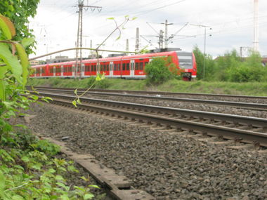 Graffiti Artwork - Photo by gartenzwerg - Lecker, Schinken