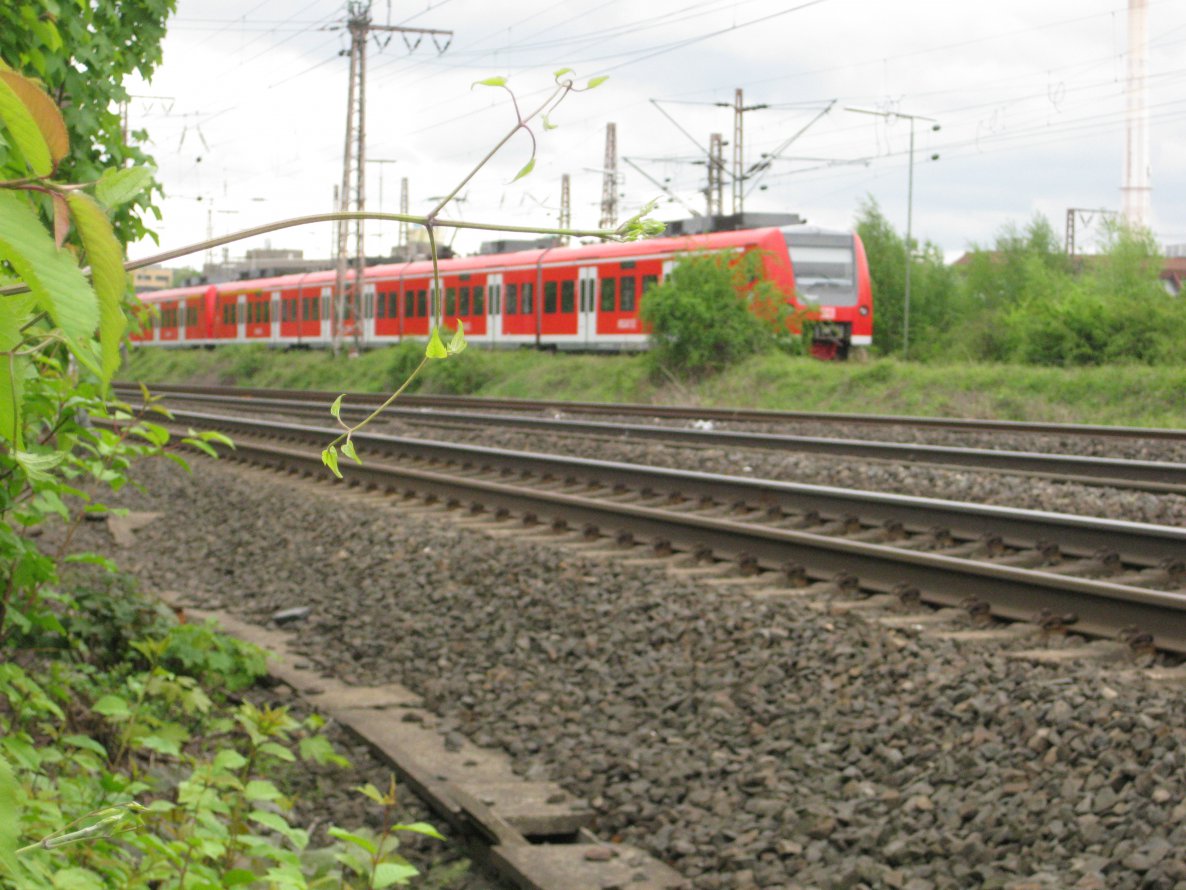 Graffiti Artwork - Photo by gartenzwerg - Lecker, Schinken