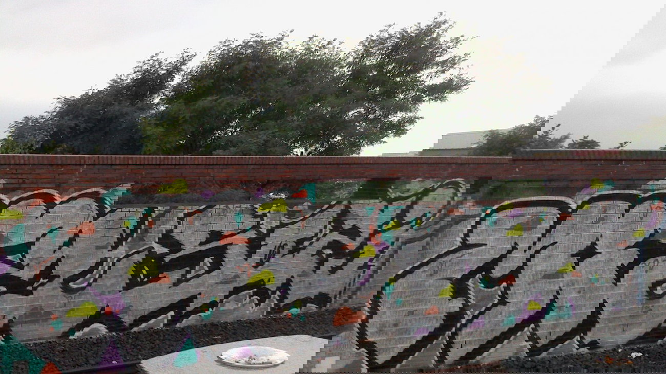 Graffiti Bombing - Photo by gartenzwerg - mizl, sozi