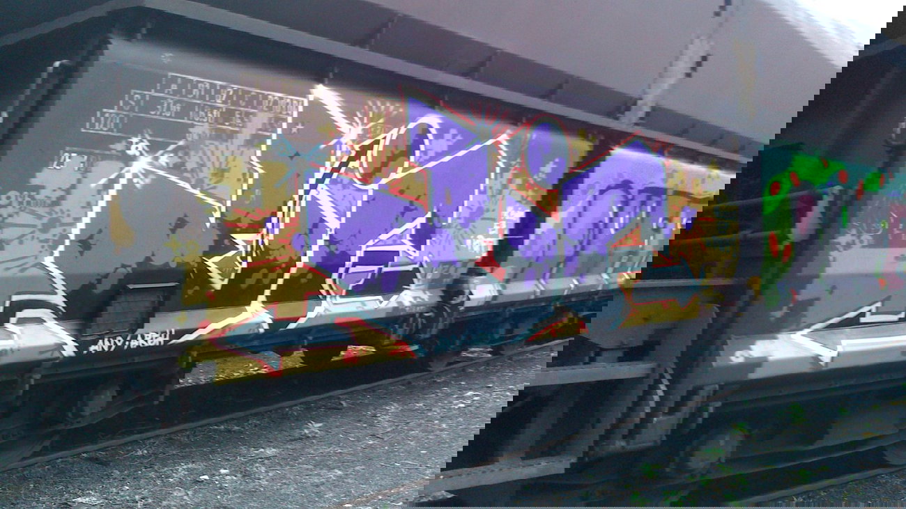 Graffiti Train - Photo by gartenzwerg - ei, puff