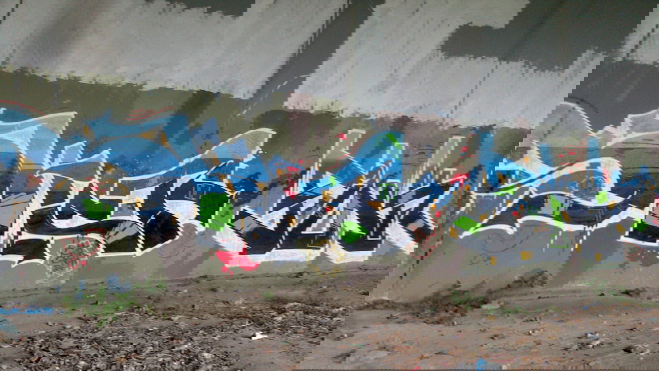 Graffiti Bombing - Photo by gartenzwerg - shet, fink