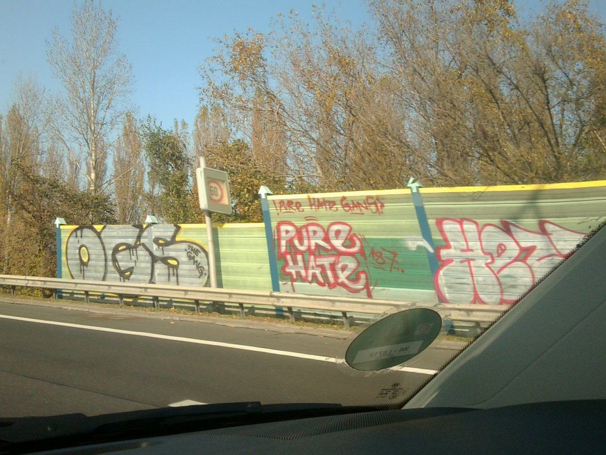 Graffiti Bombing - Photo by gartenzwerg - ogs, pure, hate