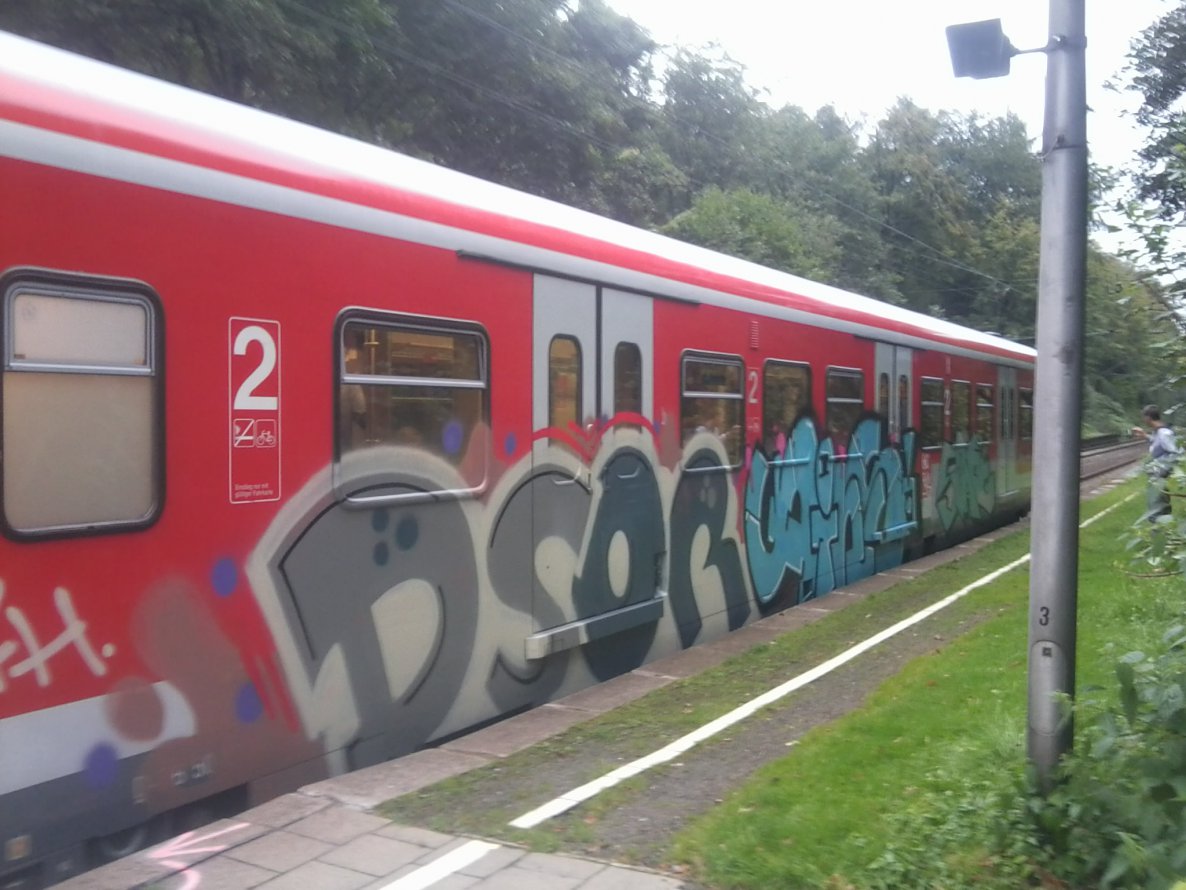 Graffiti Train - Photo by gartenzwerg - dsor, ains
