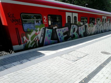 Graffiti Train - Photo by gartenzwerg - s6, Train, Lebt