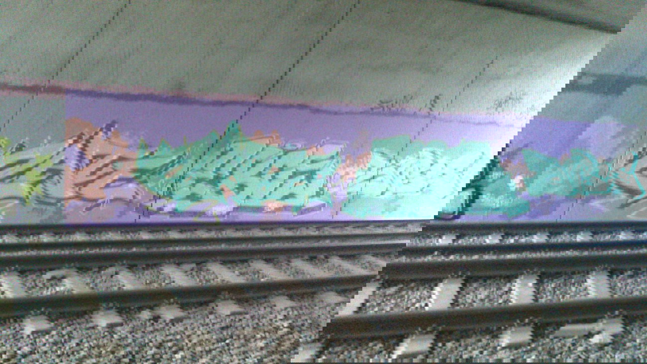 Graffiti Bombing - Photo by gartenzwerg