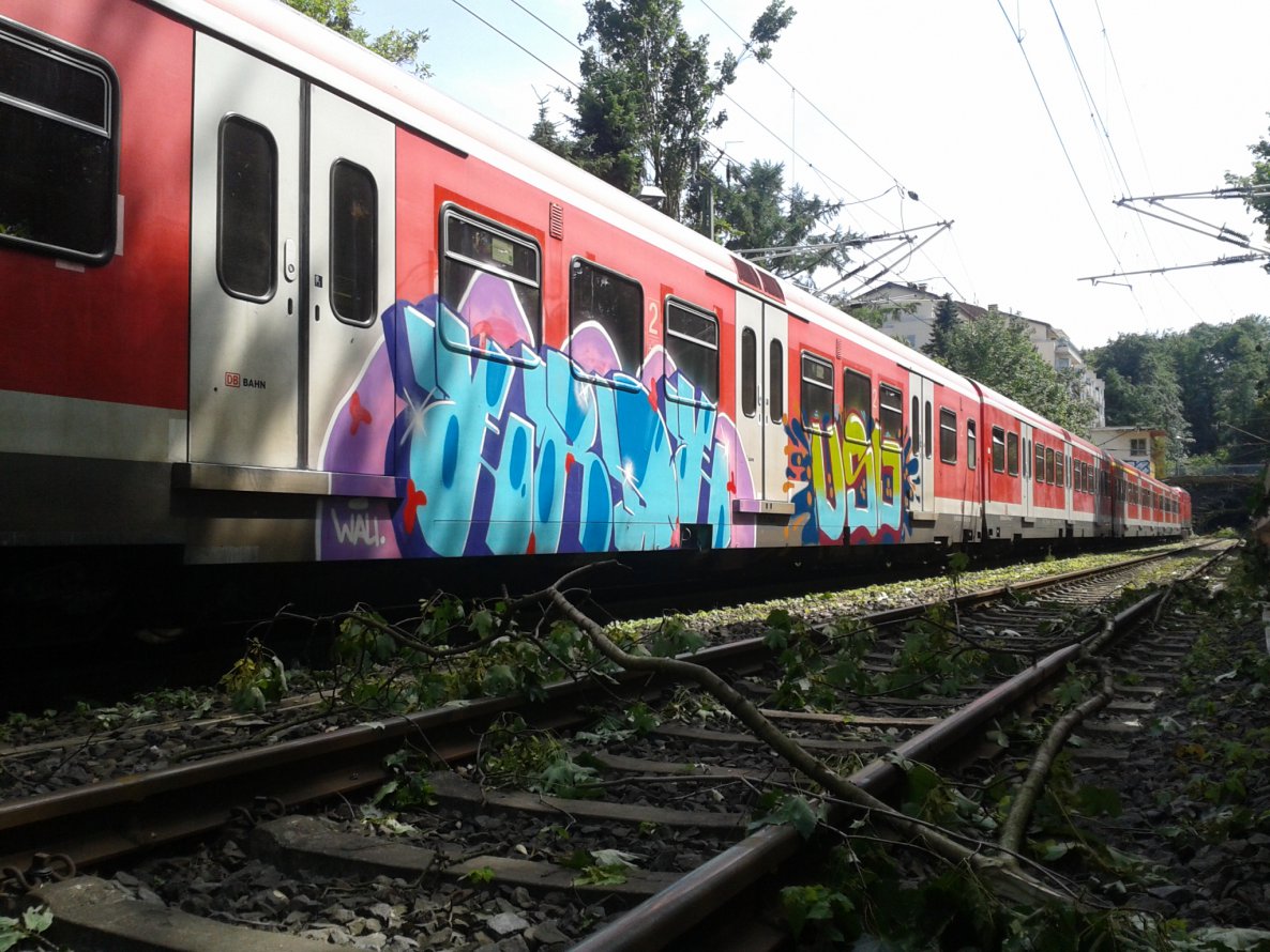 Graffiti Train - Photo by gartenzwerg - erde, usw