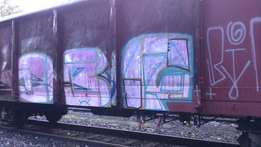 Graffiti Train - Photo by gartenzwerg - DBF