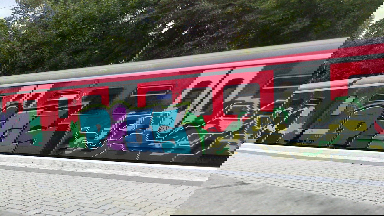 Graffiti Train - Photo by gartenzwerg - pigs, pigs, duo