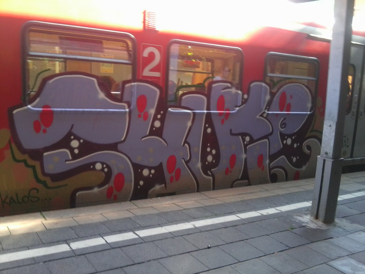 Graffiti Train - Photo by gartenzwerg - shuke