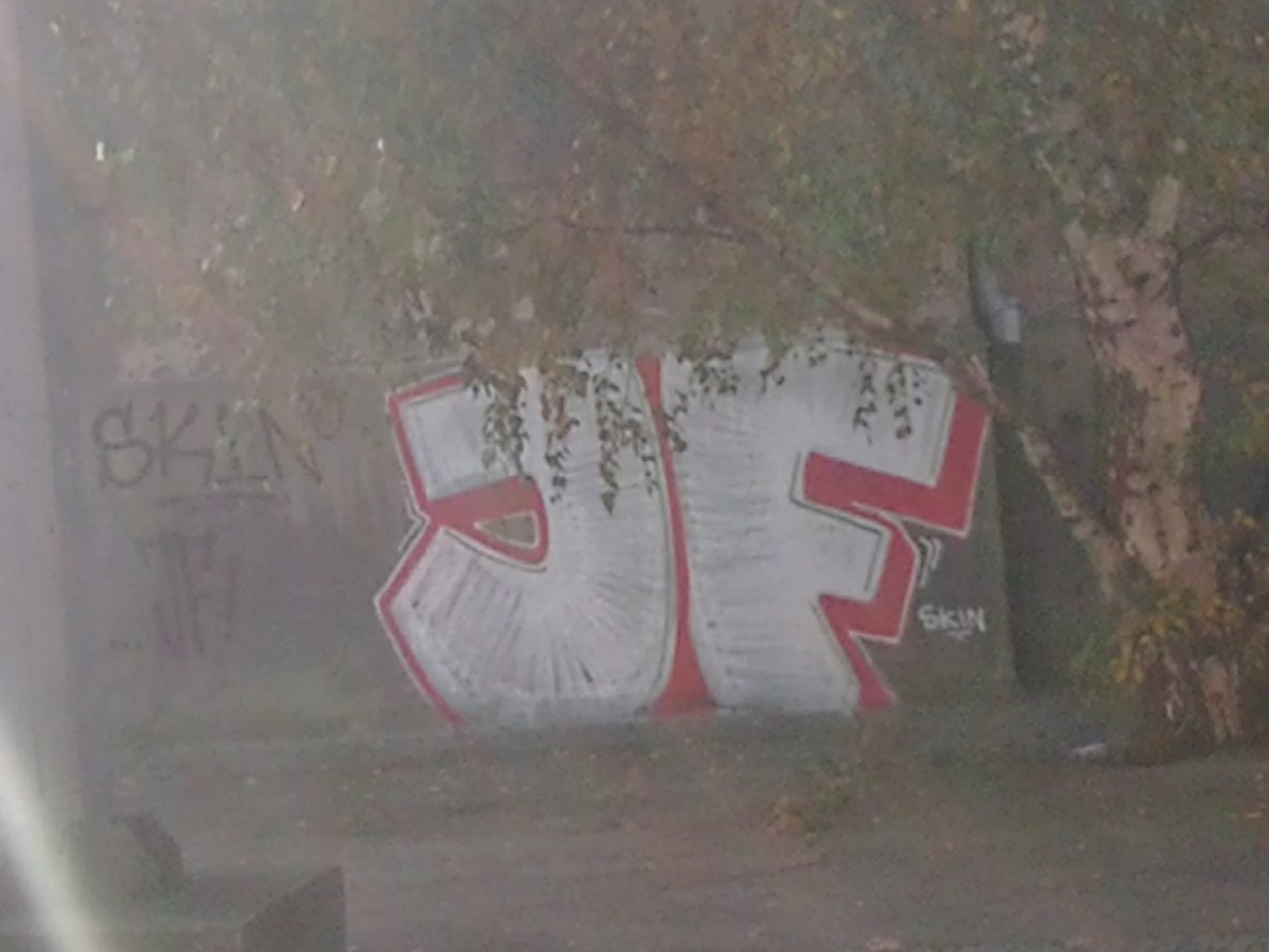 Graffiti Bombing - Photo by gartenzwerg - JF