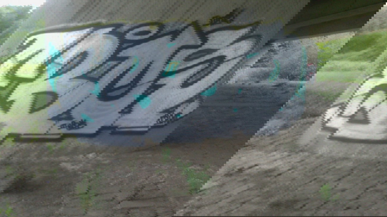 Graffiti Bombing - Photo by gartenzwerg - ebos