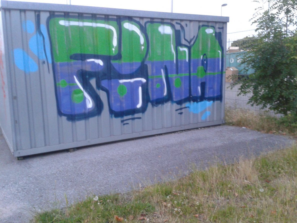 Graffiti Bombing - Photo by gartenzwerg - fina