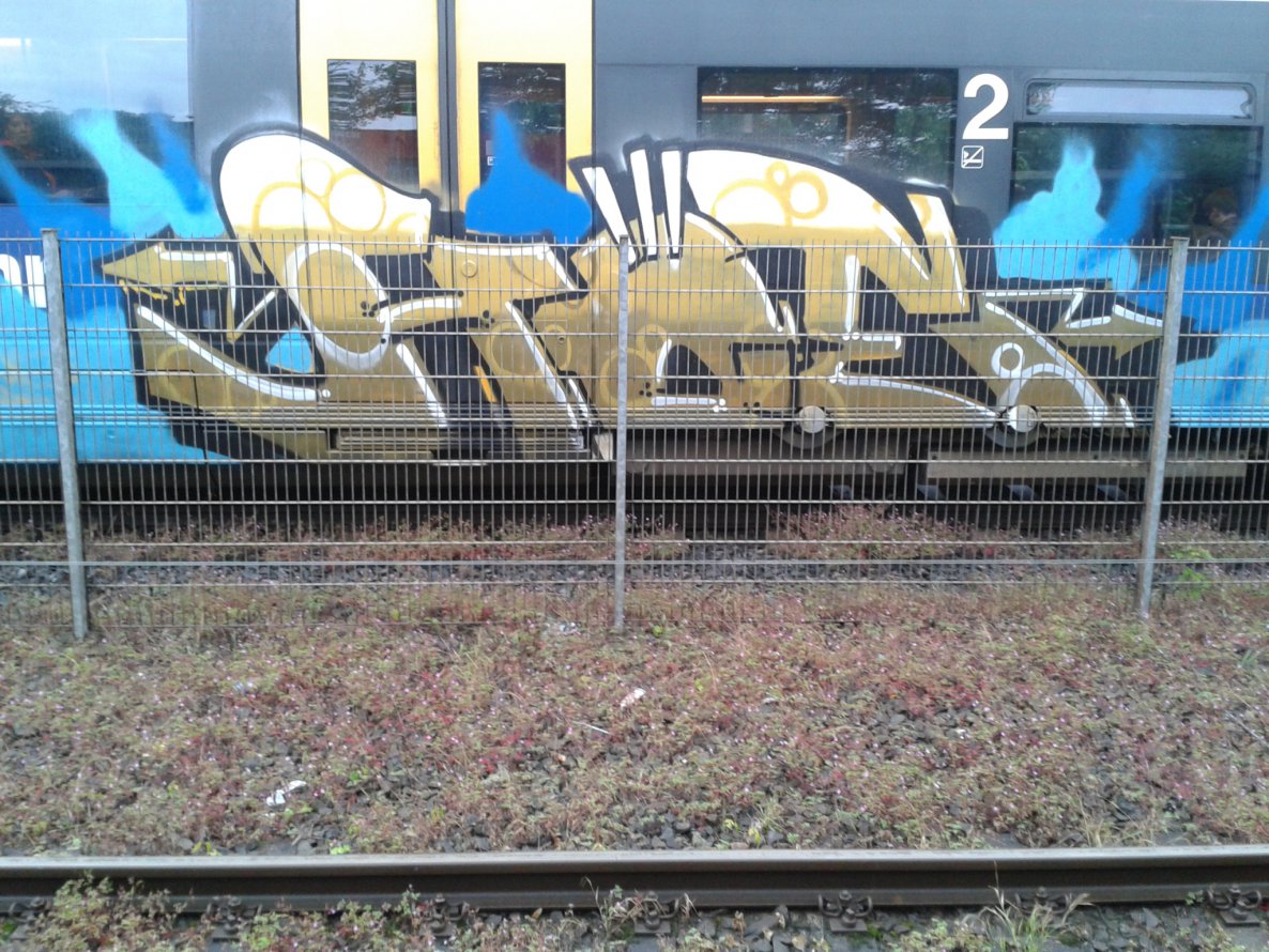 Graffiti Train - Photo by gartenzwerg - Hoe