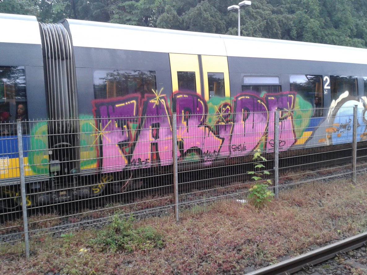 Graffiti Train - Photo by gartenzwerg - faride
