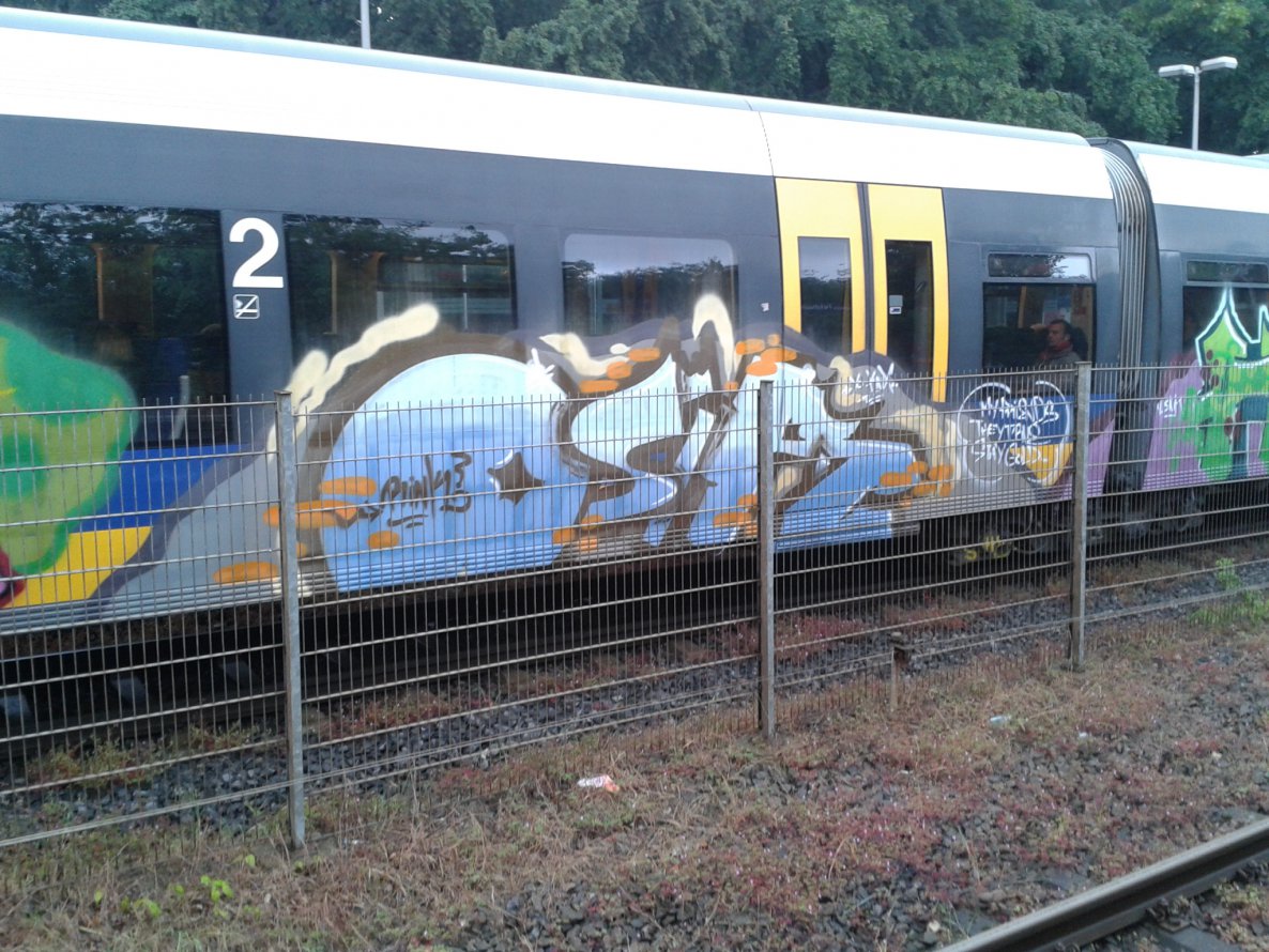 Graffiti Train - Photo by gartenzwerg - osir