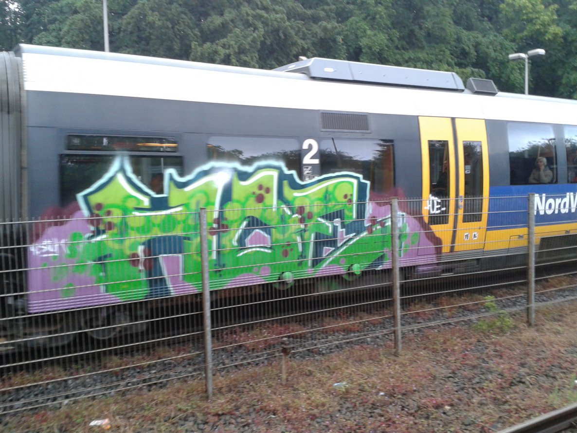 Graffiti Train - Photo by gartenzwerg - hoe