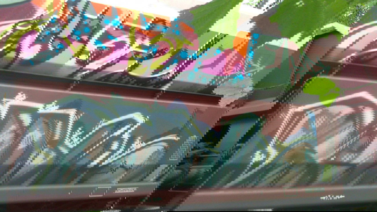 Graffiti Train - Photo by gartenzwerg - Rink