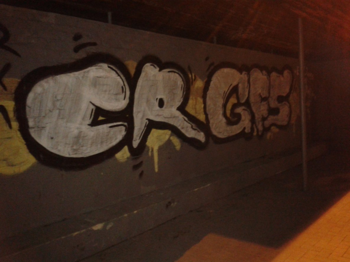 Graffiti Bombing - Photo by gartenzwerg - cr, gfs