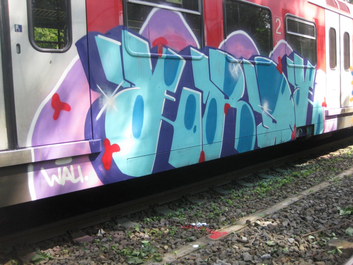 Graffiti Train - Photo by gartenzwerg - Erde