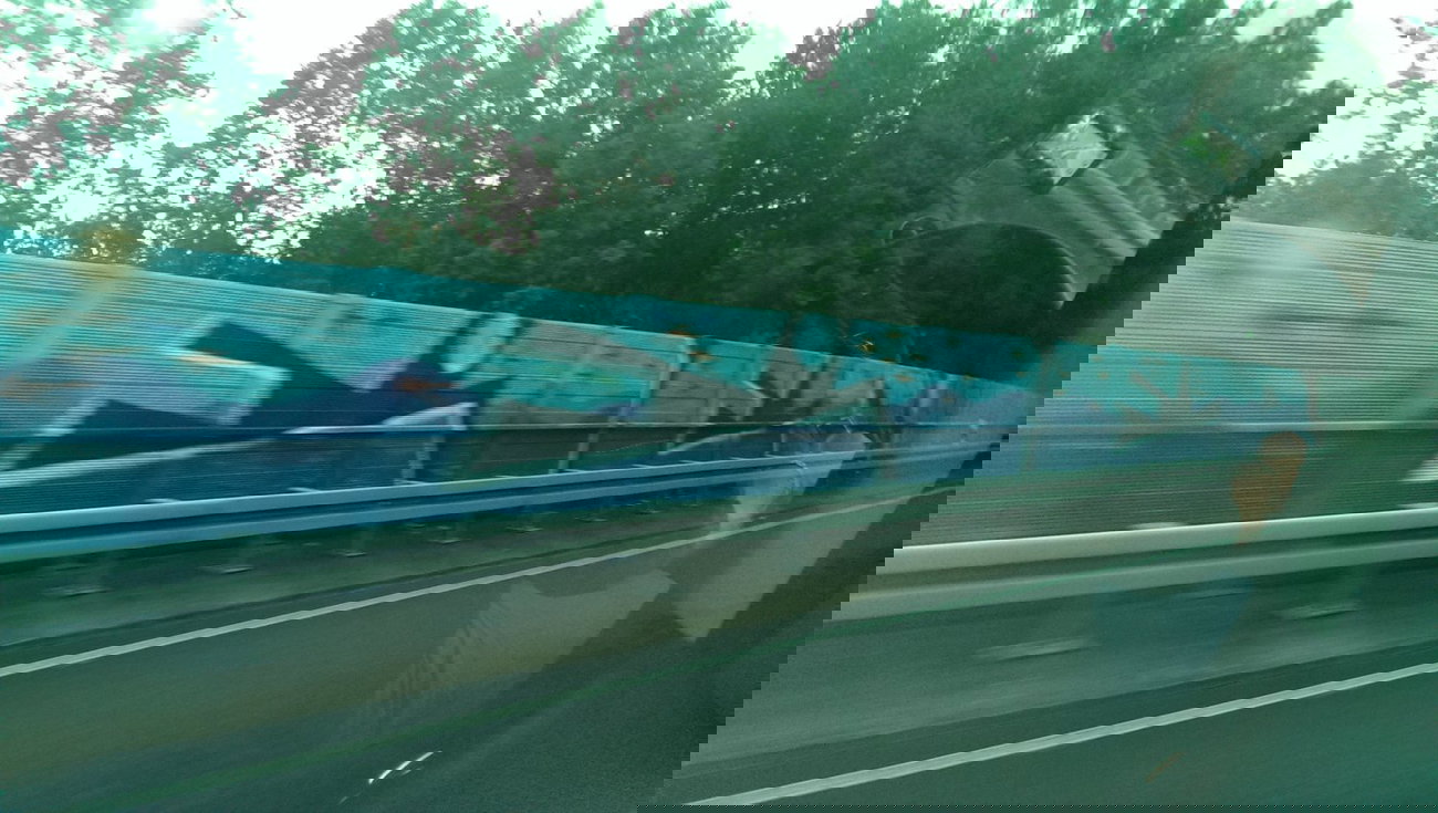 Graffiti Bombing - Photo by gartenzwerg - eier