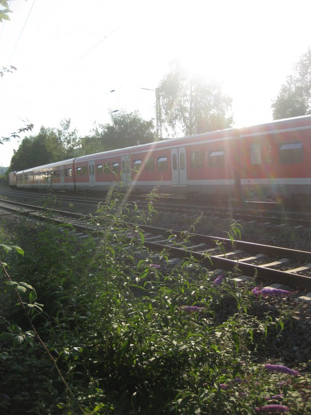 Graffiti Artwork - Photo by gartenzwerg