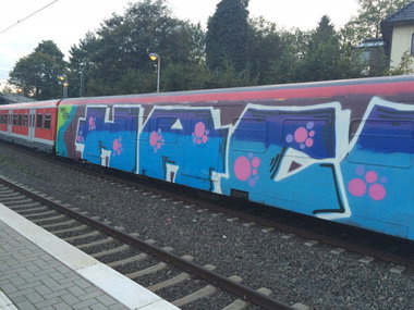 Graffiti Train - Photo by gartenzwerg - HACF, Wholecar, s6