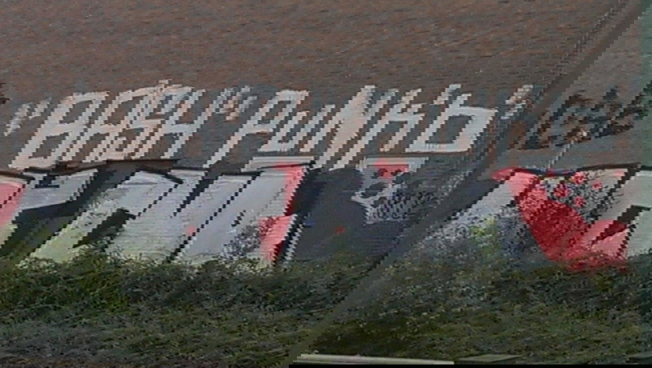 Graffiti Bombing - Photo by gartenzwerg - hacf, cva