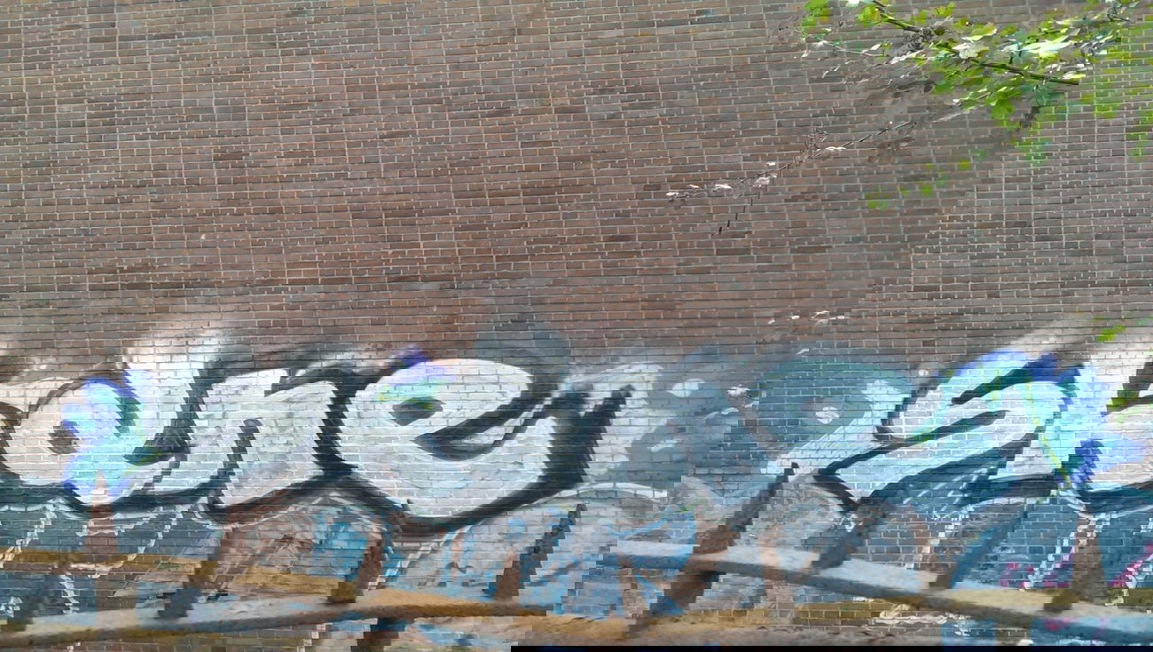 Graffiti Bombing - Photo by gartenzwerg - shane