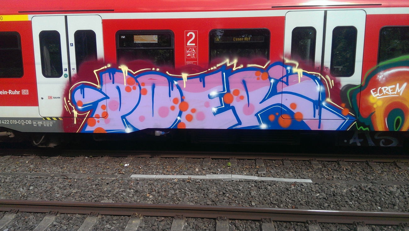 Graffiti Train - Photo by gartenzwerg - poer