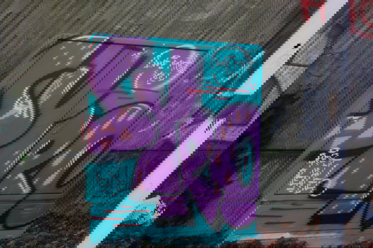 Graffiti Bombing - Photo by gartenzwerg - SYRO