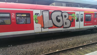 Graffiti Train - Photo by gartenzwerg - lgb