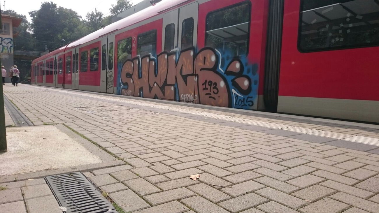 Graffiti Train - Photo by gartenzwerg - shuke, s6
