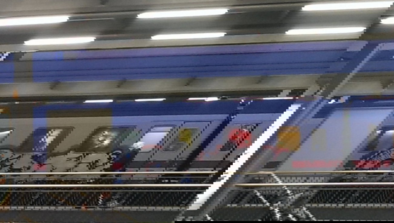 Graffiti Train - Photo by gartenzwerg