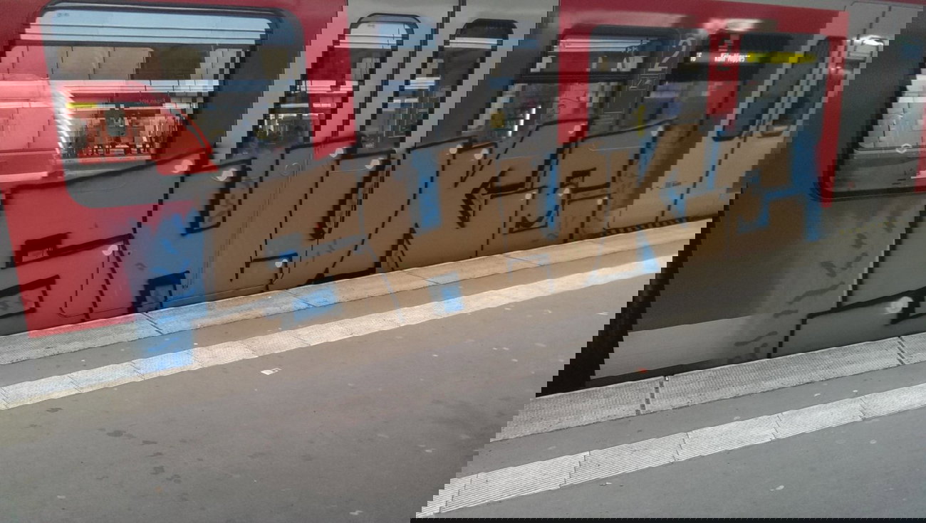 Graffiti Train - Photo by gartenzwerg - shuke