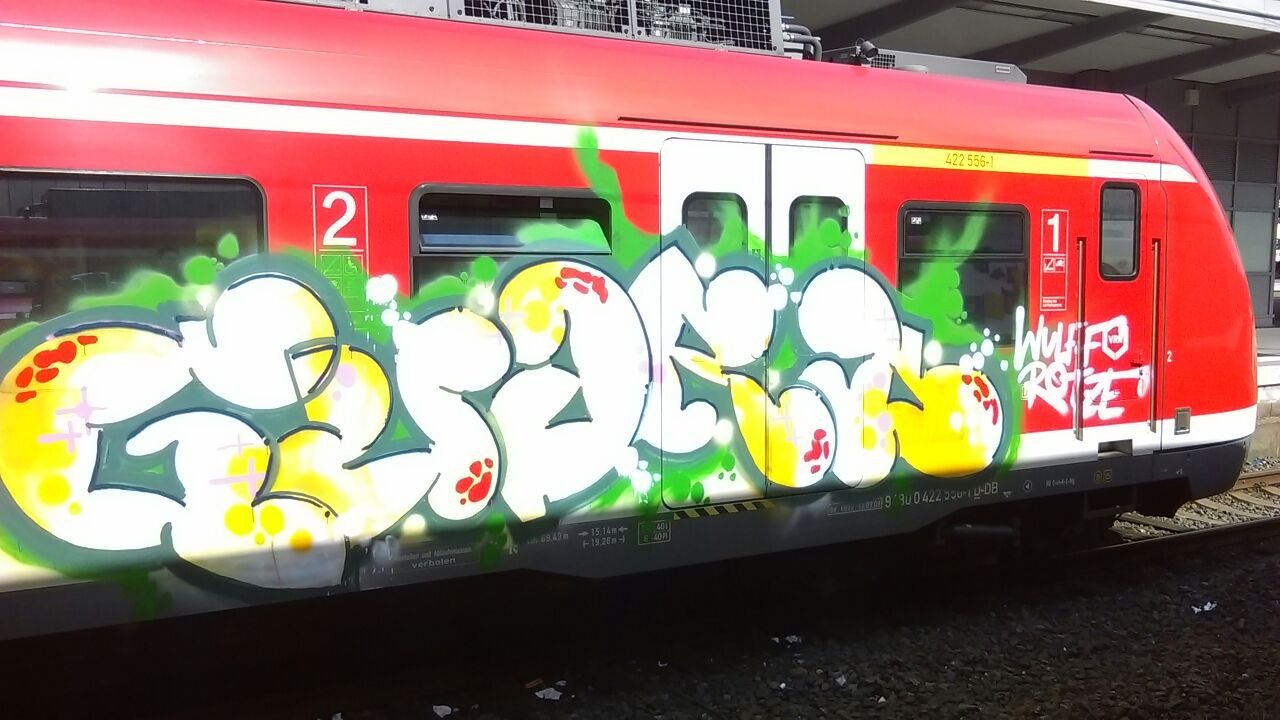 Graffiti Train - Photo by gartenzwerg - guard
