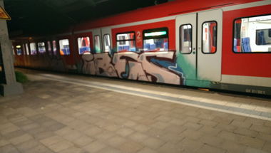 Graffiti Train - Photo by gartenzwerg - ibes