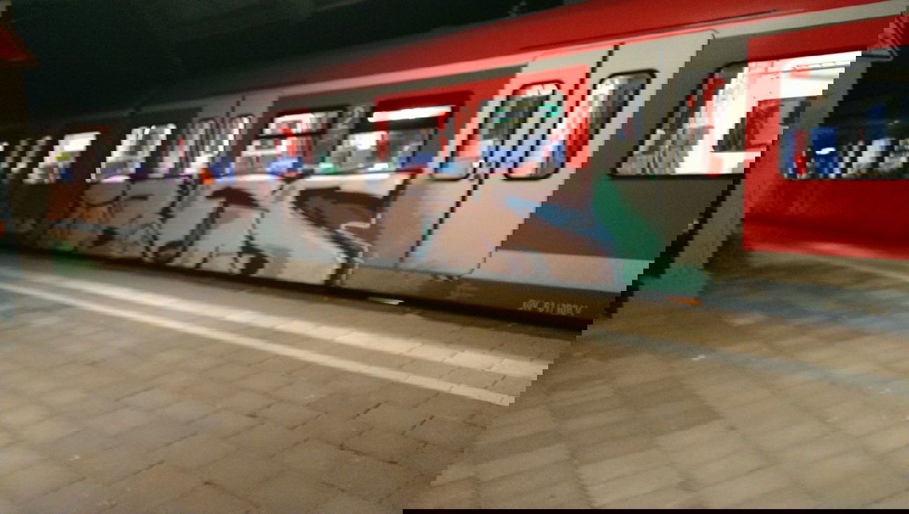 Graffiti Train - Photo by gartenzwerg - ibes