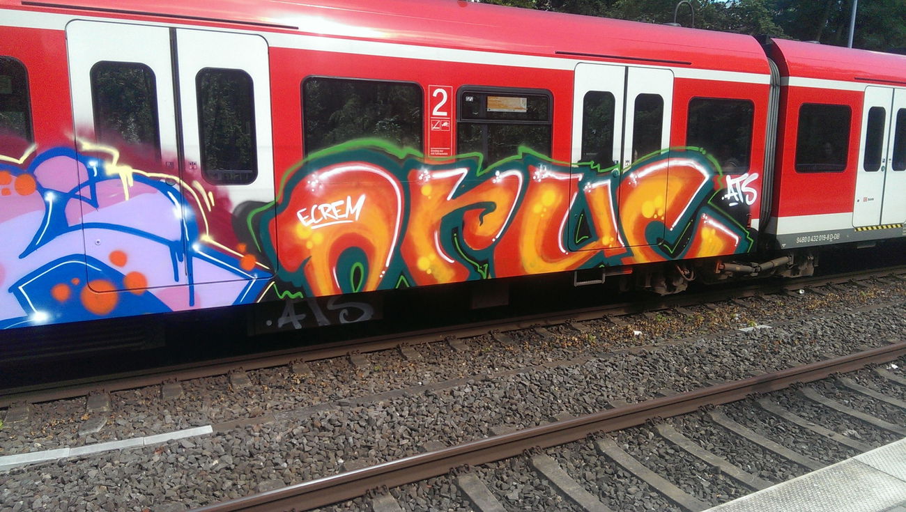 Graffiti Train - Photo by gartenzwerg - ..........