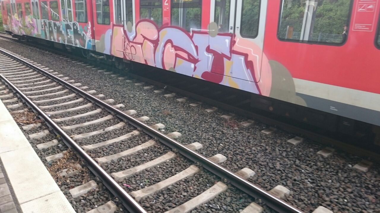 Graffiti Train - Photo by gartenzwerg - nice