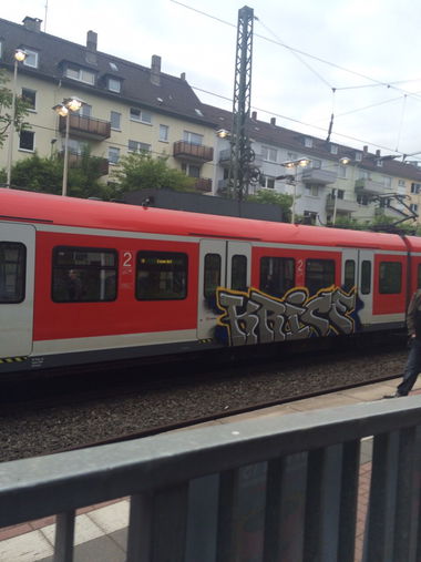 Graffiti Train - Photo by gartenzwerg - krice (2015)