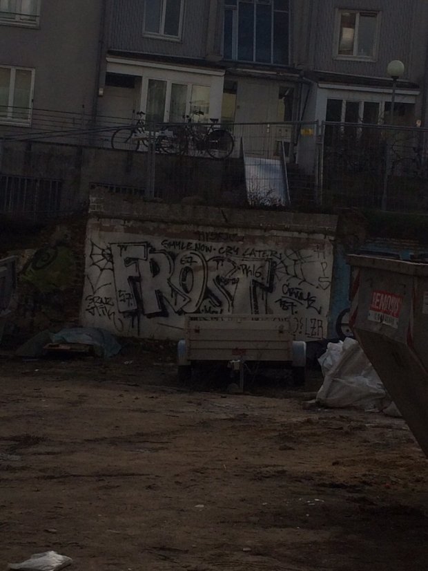 Graffiti Bombing - Photo by gartenzwerg - frost, 187, rsk